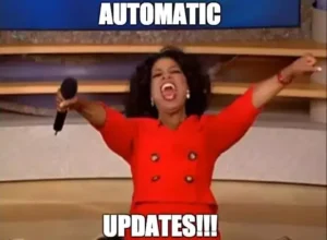 7 Steps To Make Your Business &Amp; Yourself More Secure 1 Automatic Updates