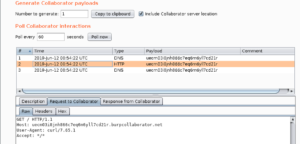 Burp Suite Collaborator 1