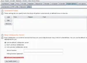 How To Set Up Burp Collaborator Up To Poll Over Http 1
