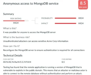 The Future Of Penetration Test Reporting Is Here Now 2 Penetration Test Report 1