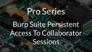 Gain Access To Burp Collaborator Sessions
